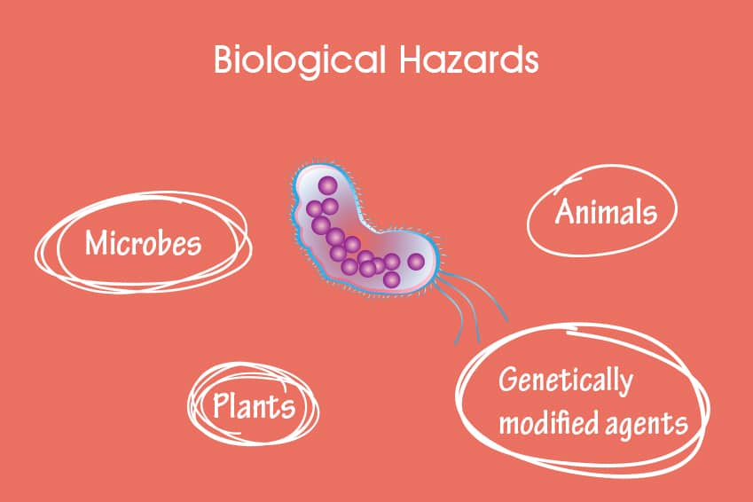 biological hazards in a lab